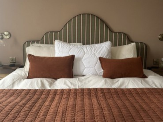 “The pillow that got me through pregnancy - and I’m still using it now” image