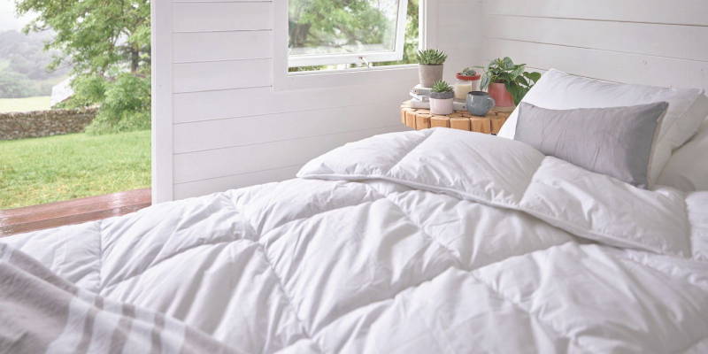 The Most Sustainable Bedding At The Fine Bedding Company?