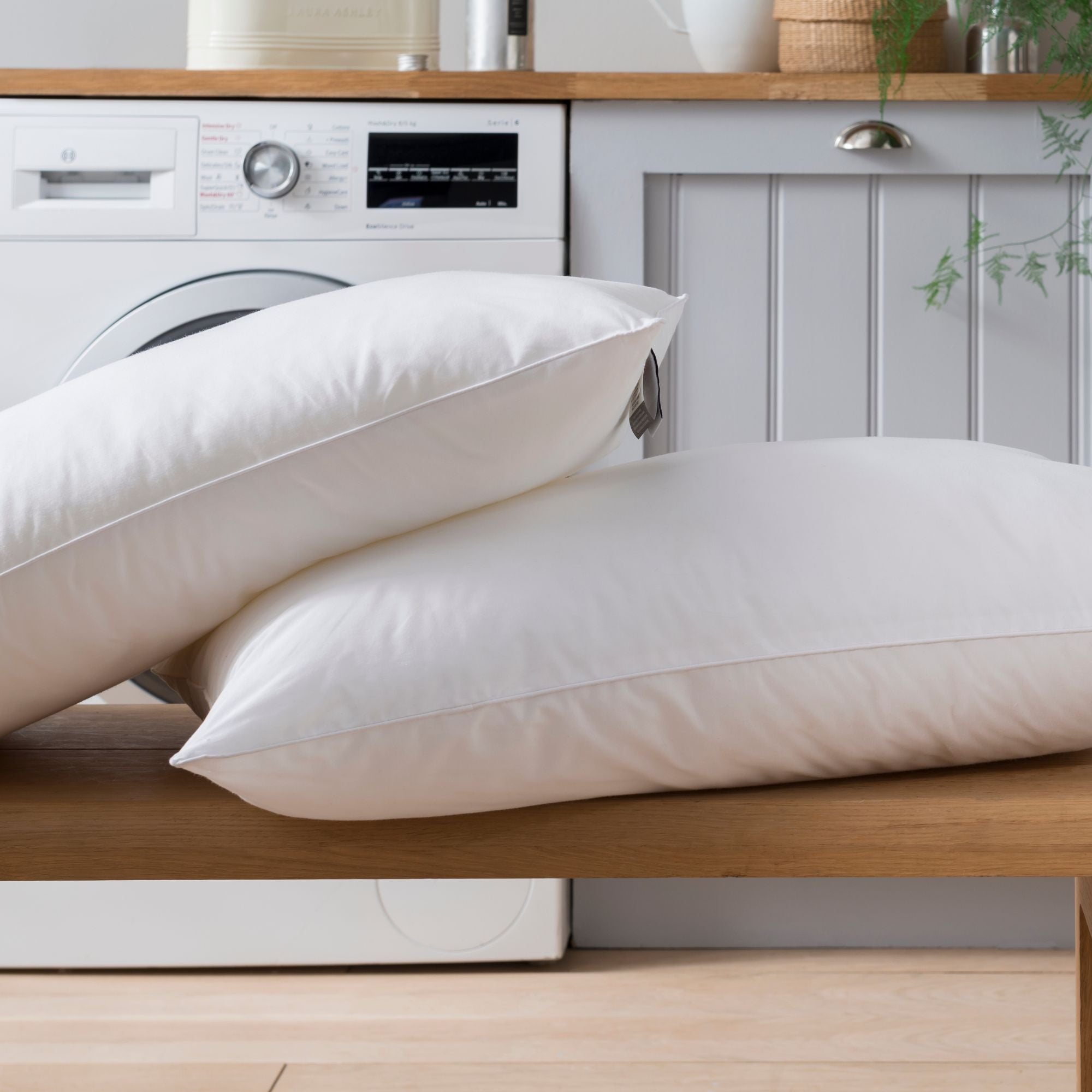 Buy the Spundown Medium Support Cotton Pillow Pair
